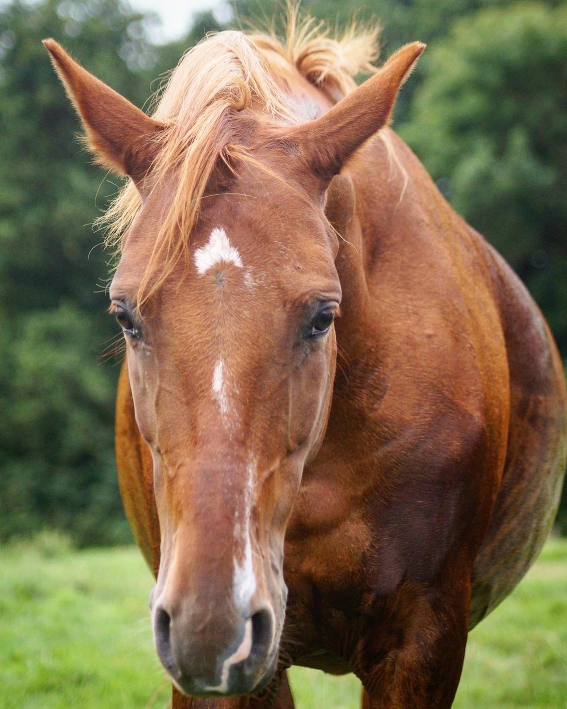 DSP B-Ready - Ud at besøge B. billede 11