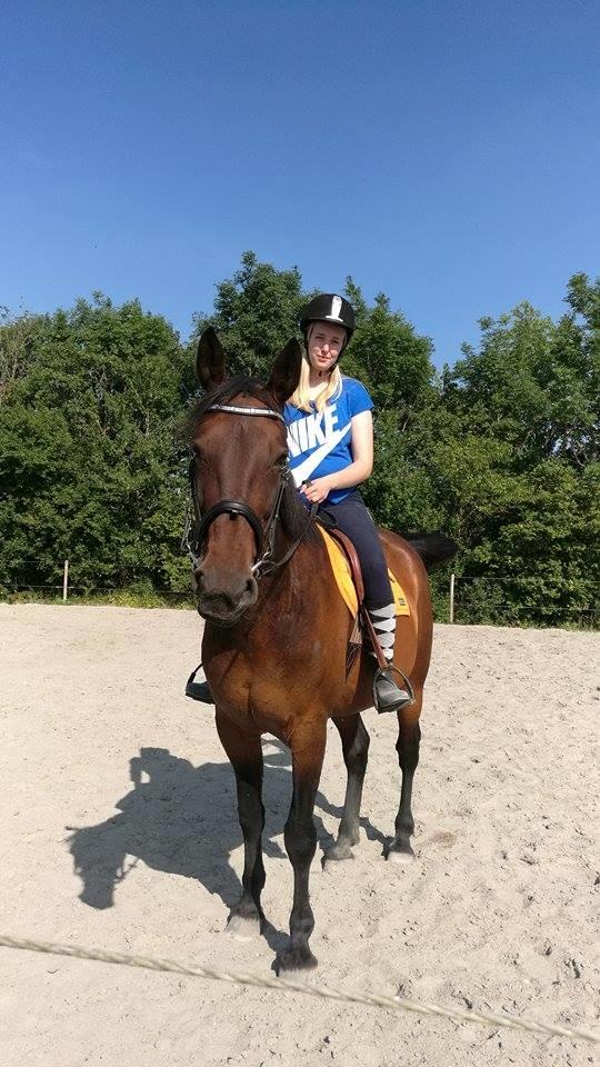 Anden særlig race Sacha  billede 8