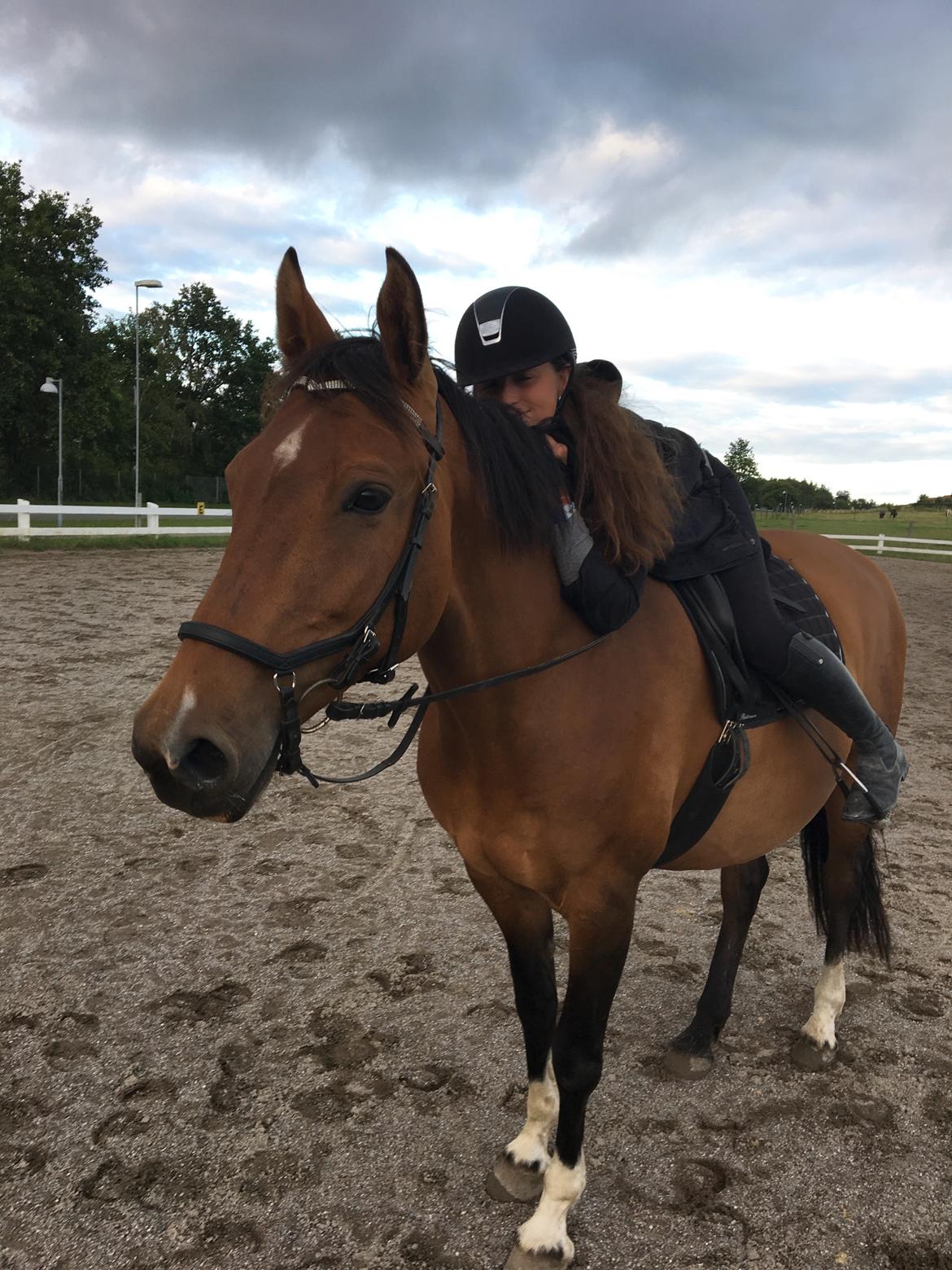 Holstener Luna billede 11