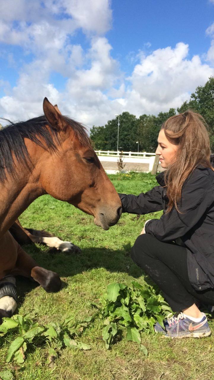 Holstener Luna billede 9