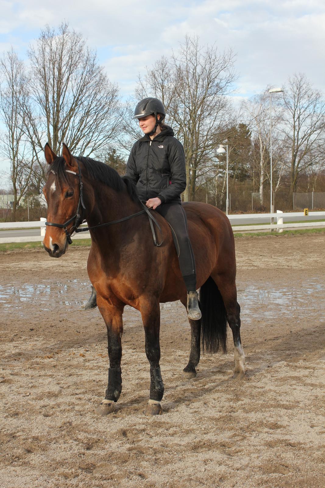 Holstener Luna - Luna i vinterpels billede 5