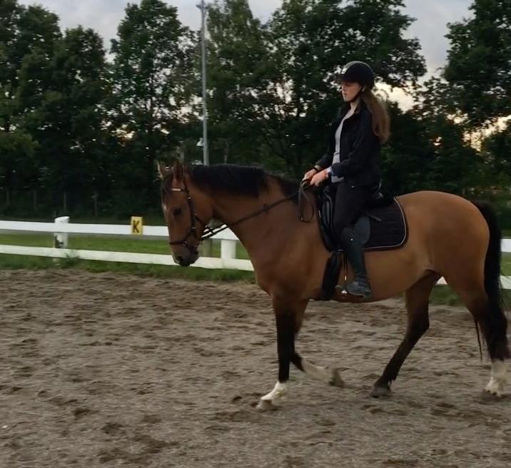 Holstener Luna billede 18