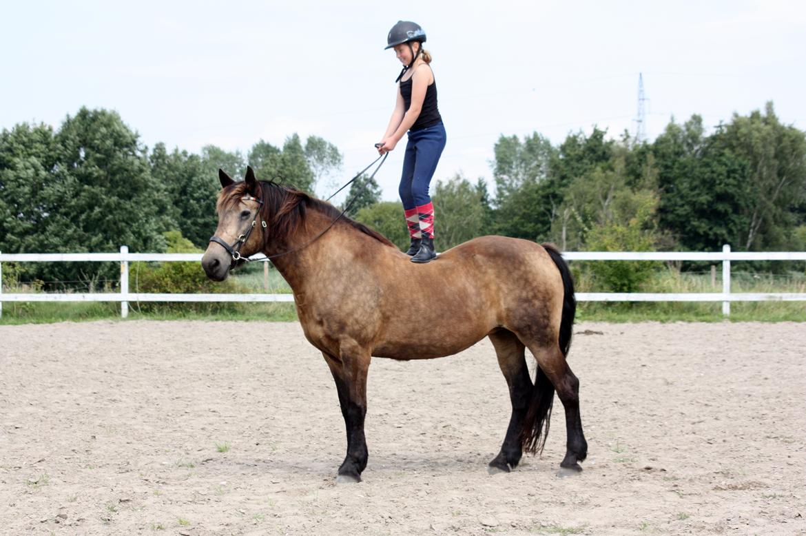 Anden særlig race Filicity (Freja) - Freja med min 10 årige niece 08-08-17 billede 17