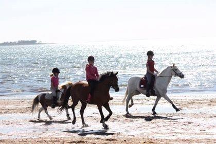 Welsh Pony (sec B) Lyngvejens Kira - kira og malou (ny ejer) billede 18