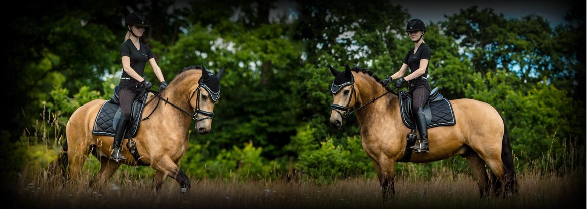 Anden særlig race Corano billede 17
