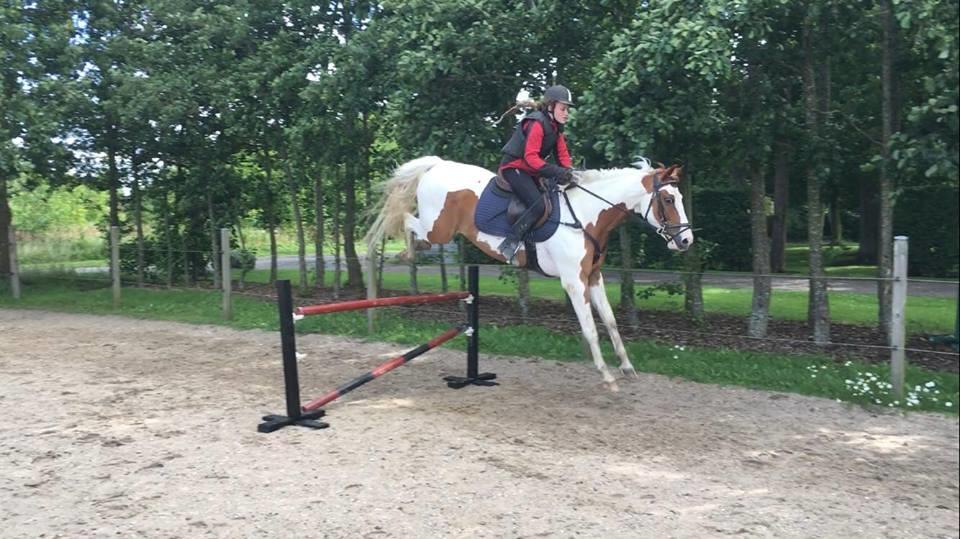 Pinto What A Spot - Så fine bagben på et LC spring <3 billede 5