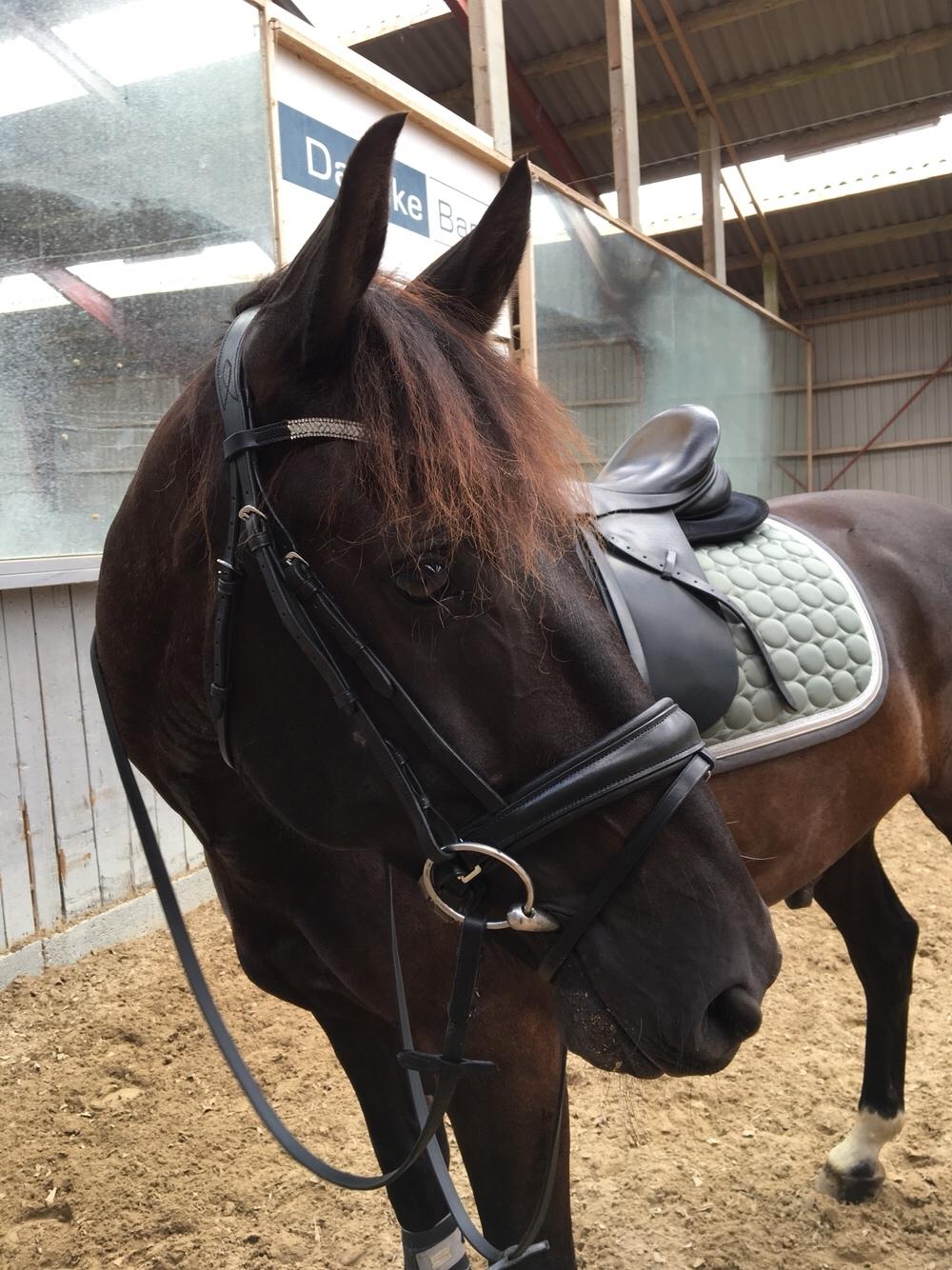 Oldenborg Fillip billede 13