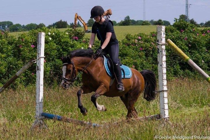 DSP Holmgaards Cezanne billede 13