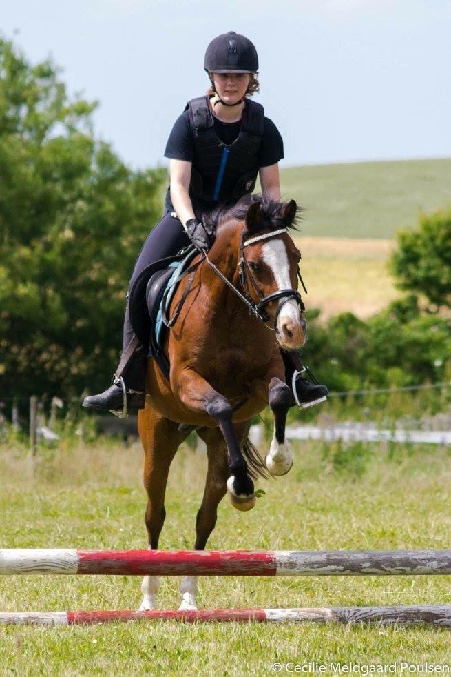 DSP Holmgaards Cezanne billede 18