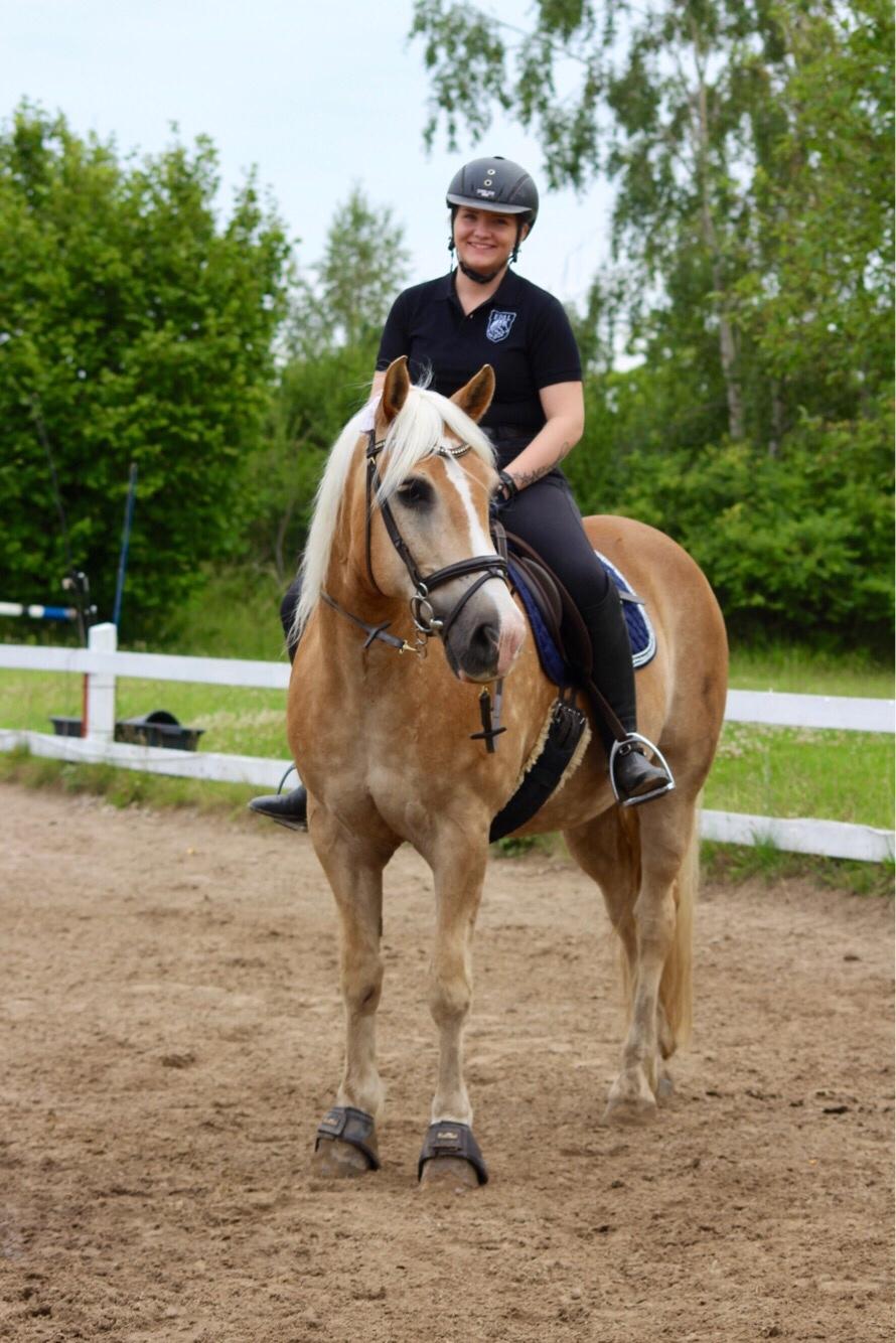 Haflinger Sandals Maximillian billede 14