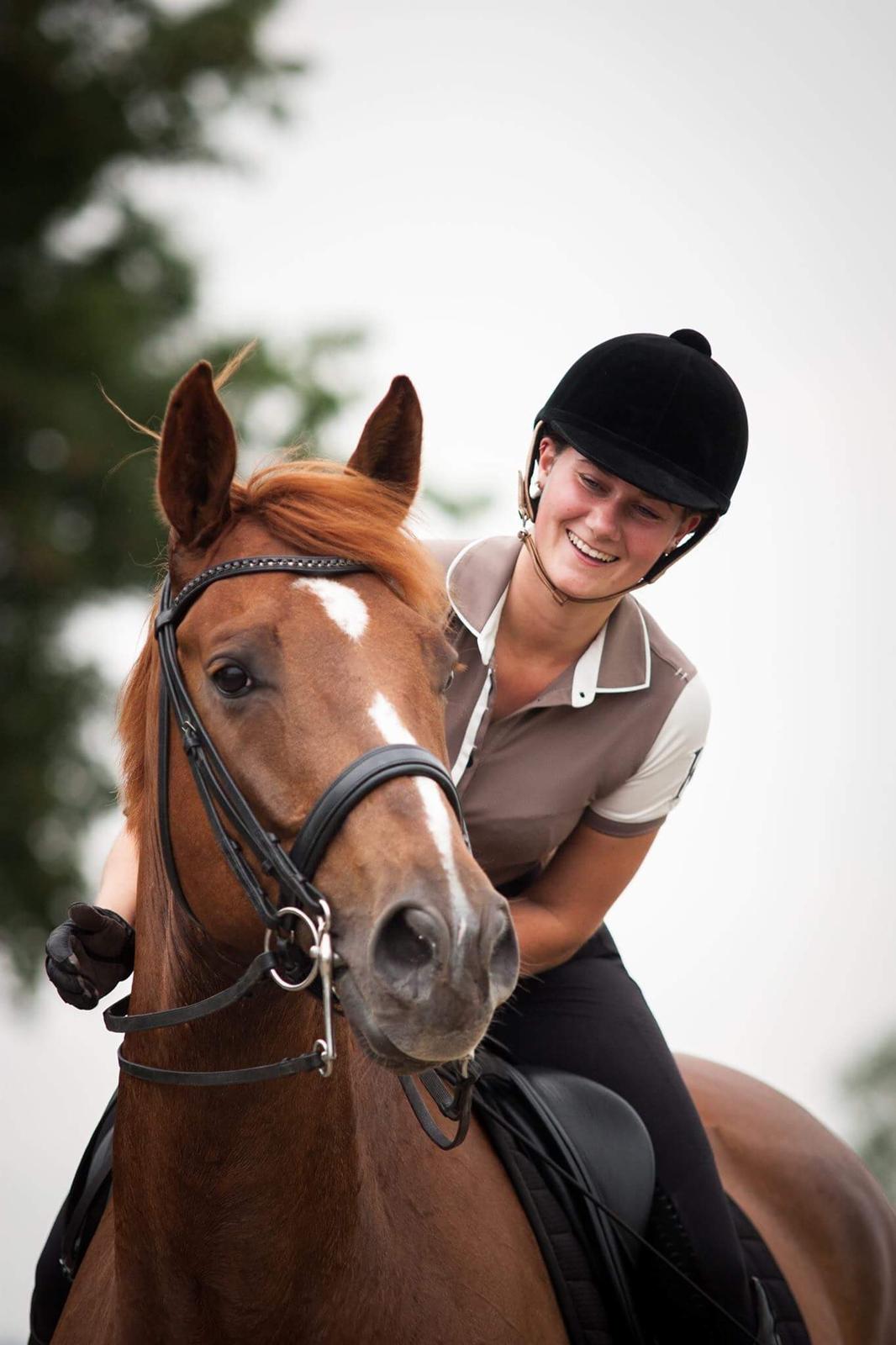 Dansk Varmblod Hedebo´s Arlino *B-hest* billede 4