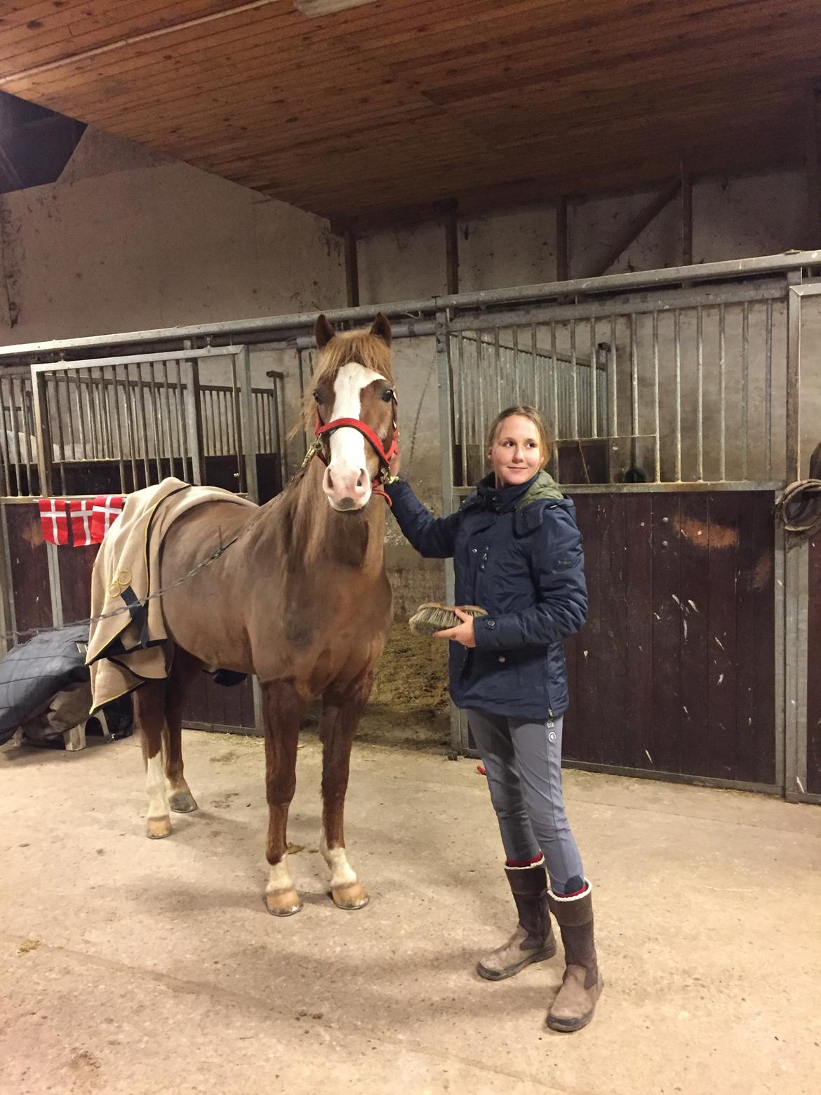 DSP Ørsteds Carpaccio billede 7