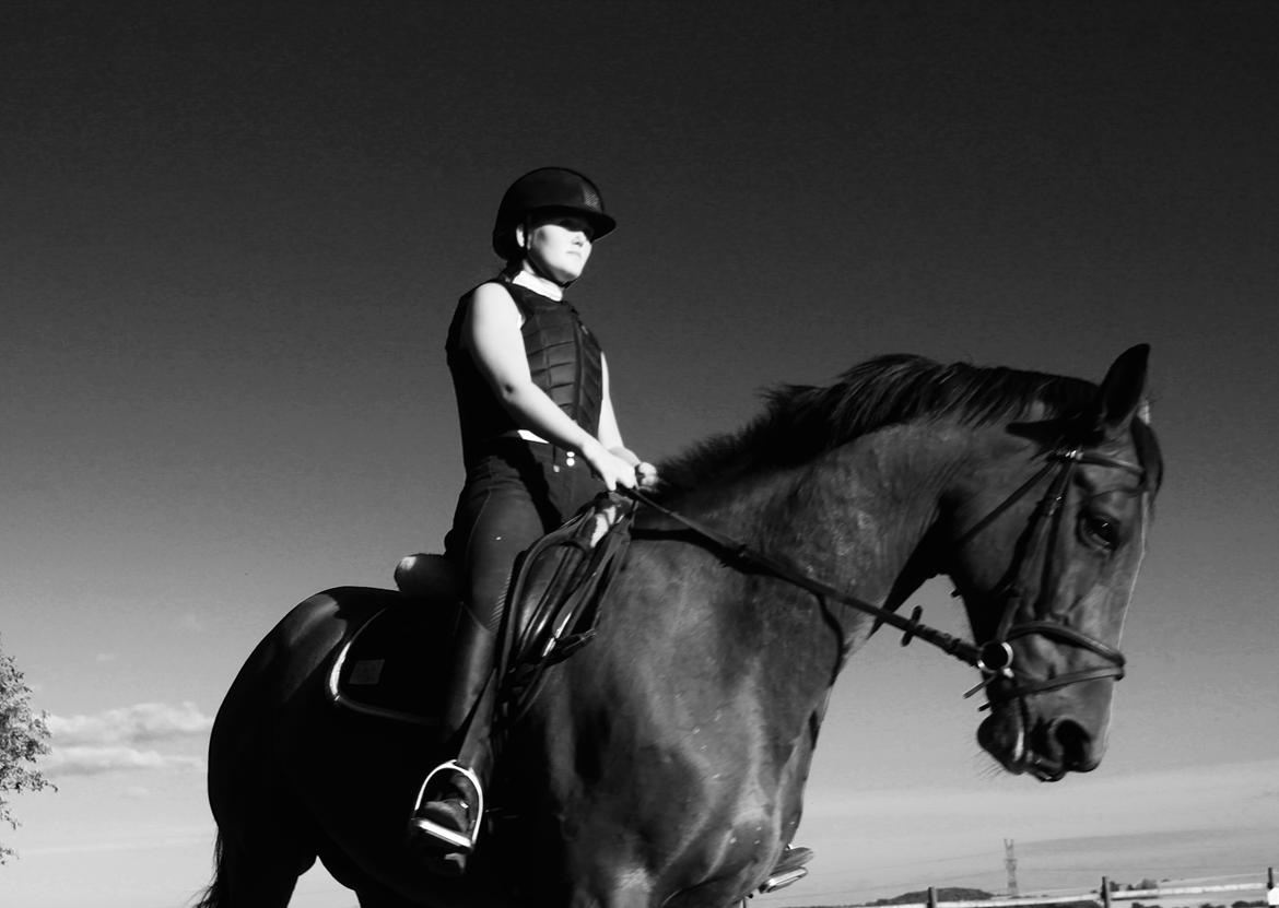 Dansk Varmblod Malu - S billede 7