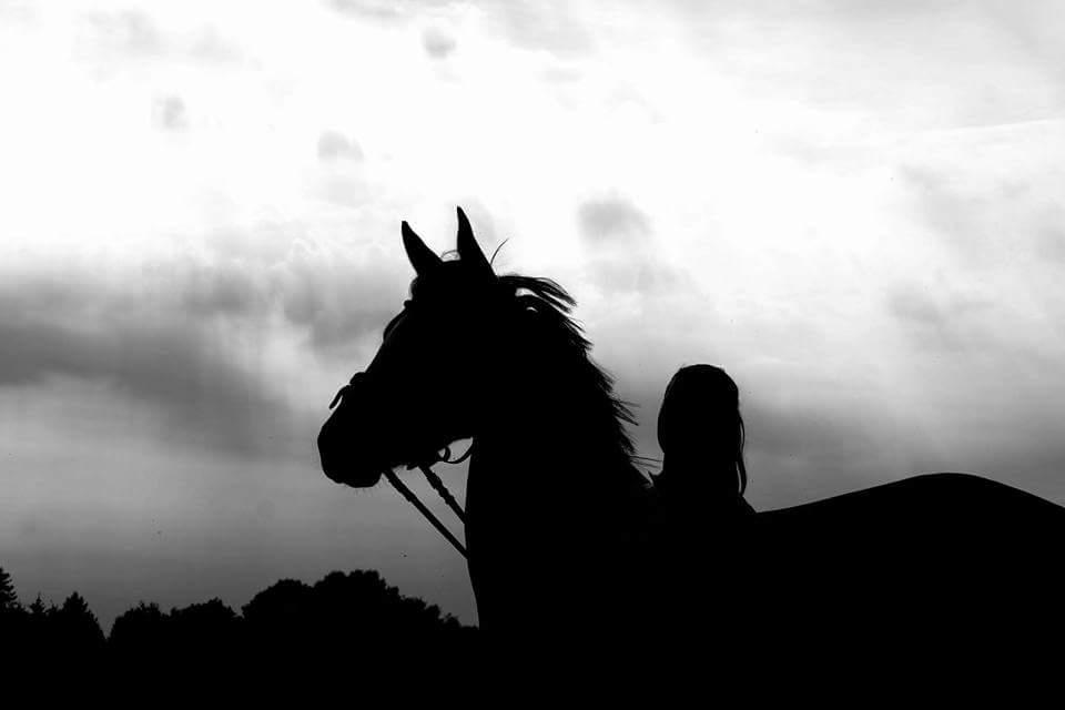 Anden særlig race Gloria billede 9