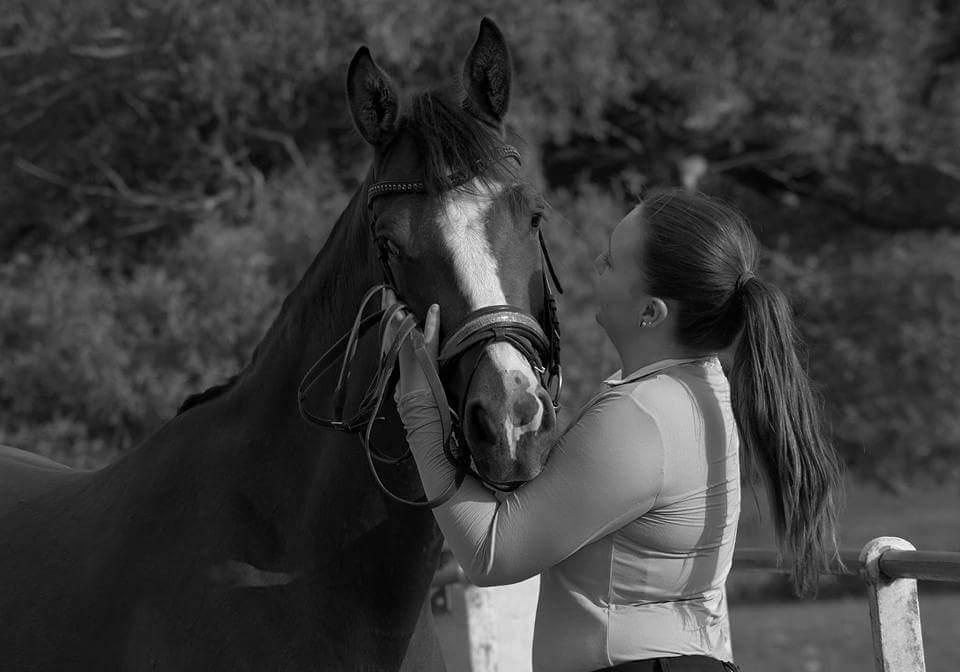 Anden særlig race Gloria billede 11