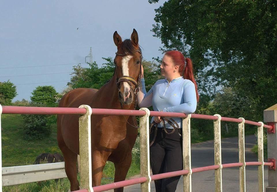 Anden særlig race Gloria billede 13