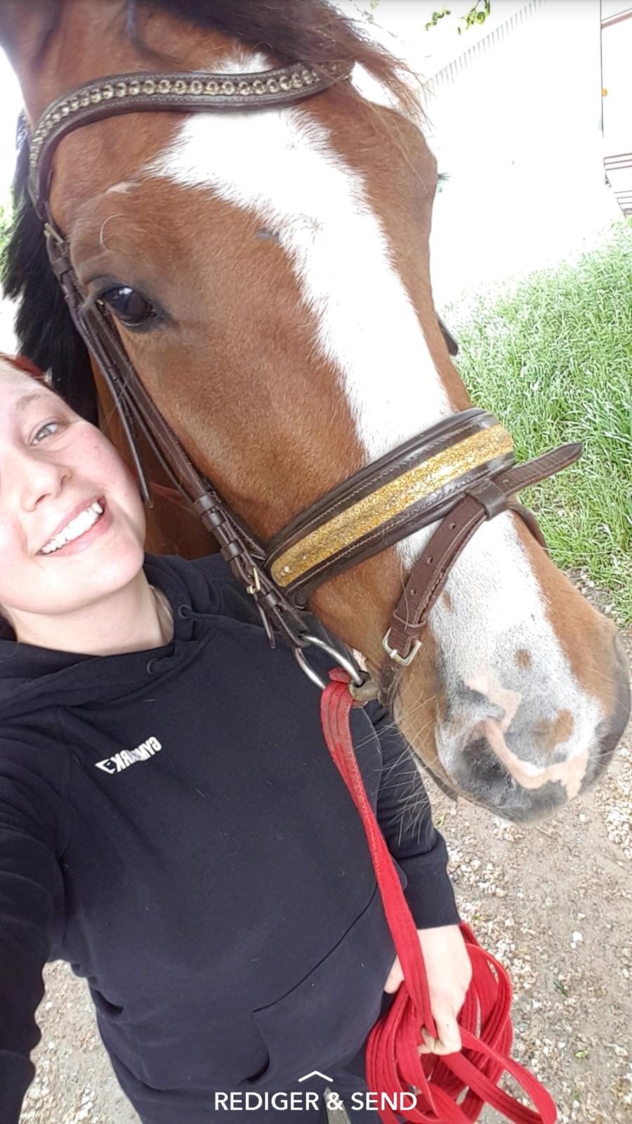 Anden særlig race Gloria billede 14