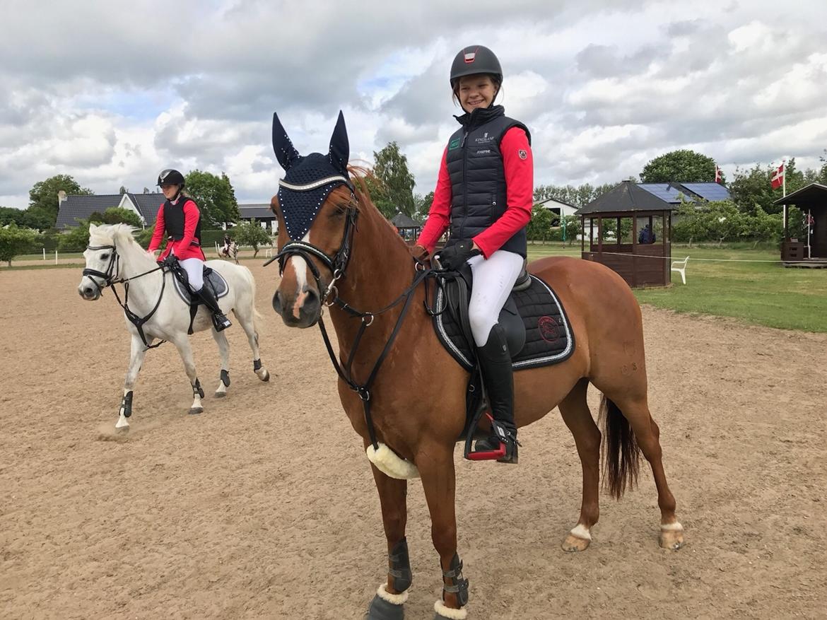 DSP F. charming de luxe billede 3