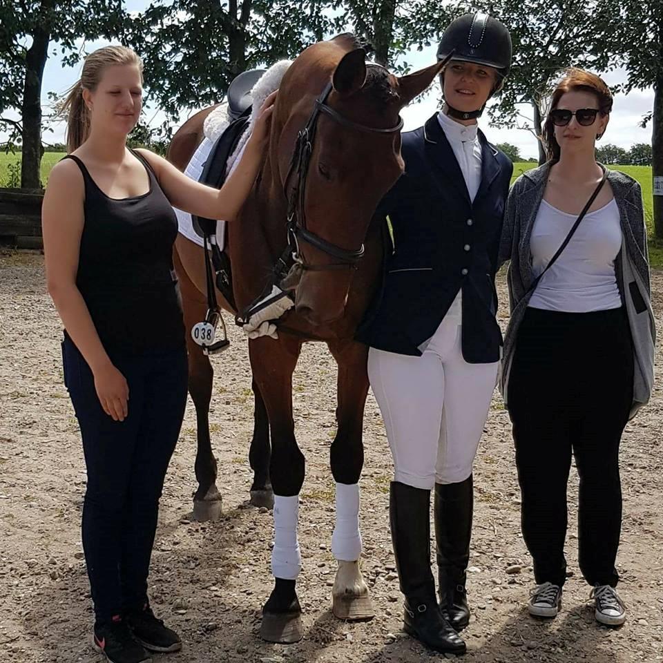 Traver Chinook Silver - Silver der poserer sammen med damerne. Han er en hest, der er rigtigt glad for sine mennesker. billede 13