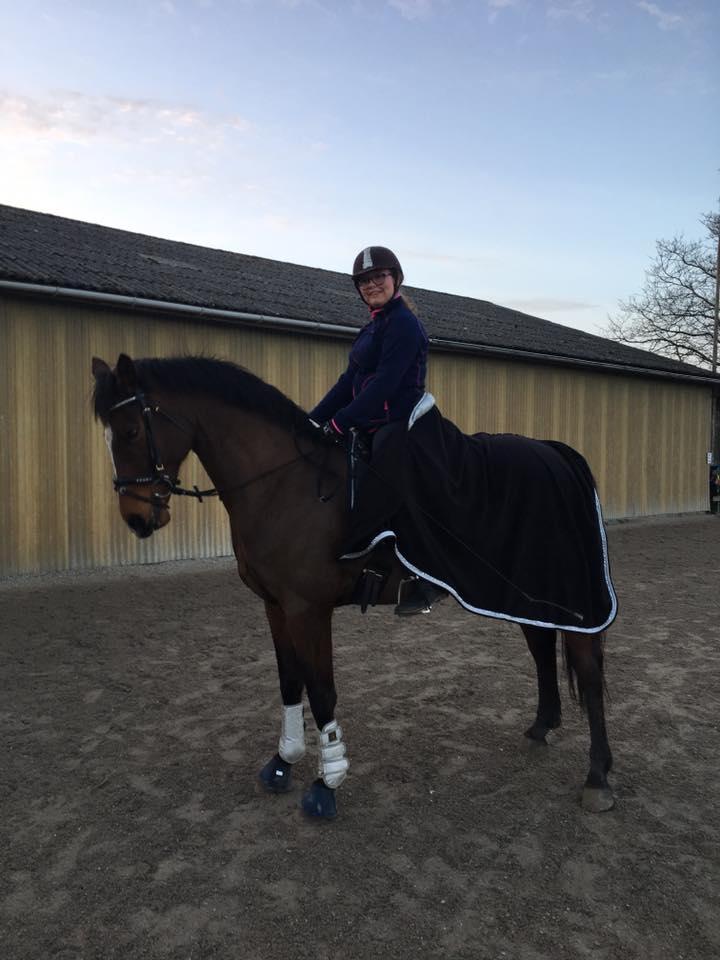 Dansk Varmblod Glowing touch billede 6