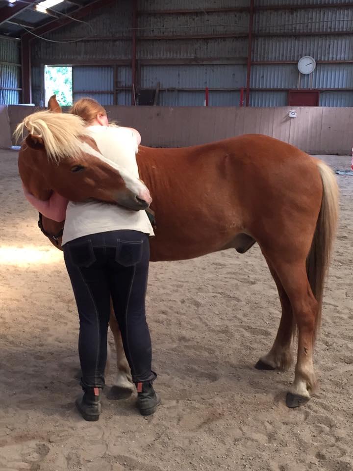 Islænder Reimar fra Skovvang - ’’The hardest part wasn’t losing you, it was learning to live without you.’’ billede 15