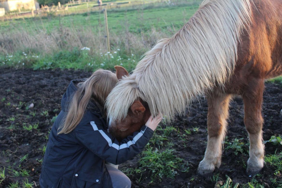 Islænder Reimar fra Skovvang - ‘’Every day I am grateful for moments like these.’’ <3 billede 42