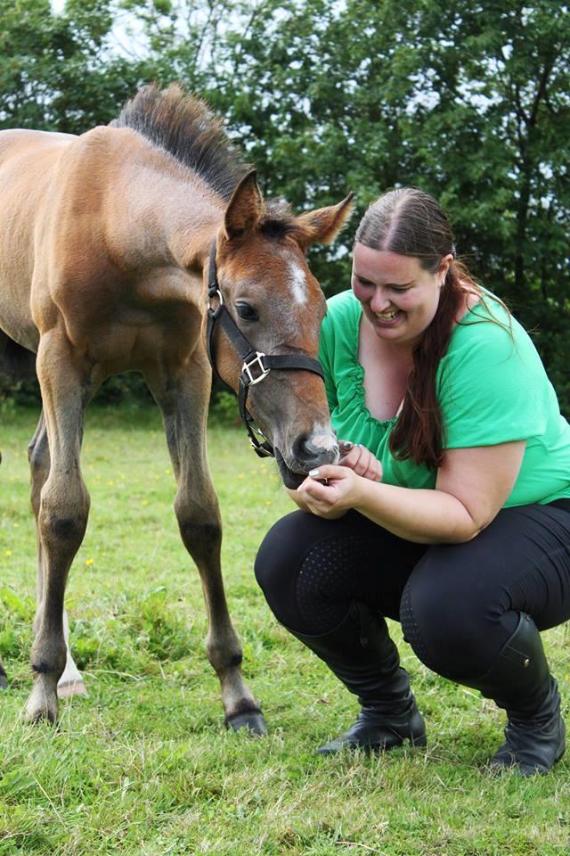 Dansk Varmblod Rosengårdens Prima Donna - NYT: 2 ½ måned gammel og hun skimler rigig meget :D billede 17