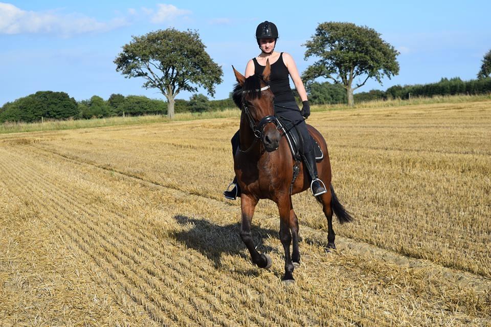 Traver Langesøs Fiona billede 3