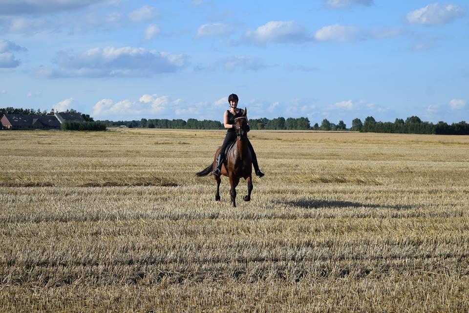 Traver Langesøs Fiona billede 15