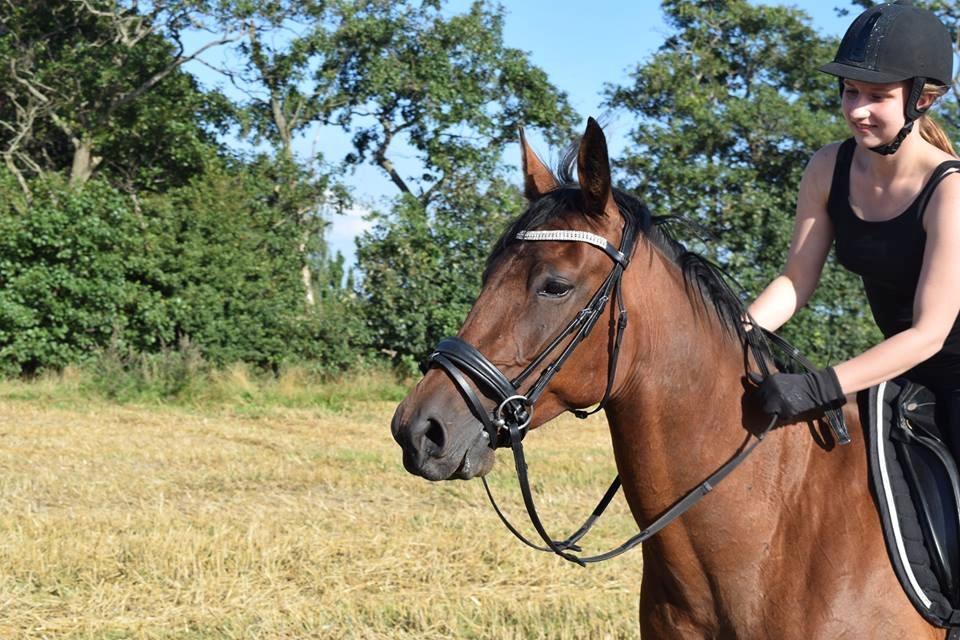 Traver Langesøs Fiona billede 5