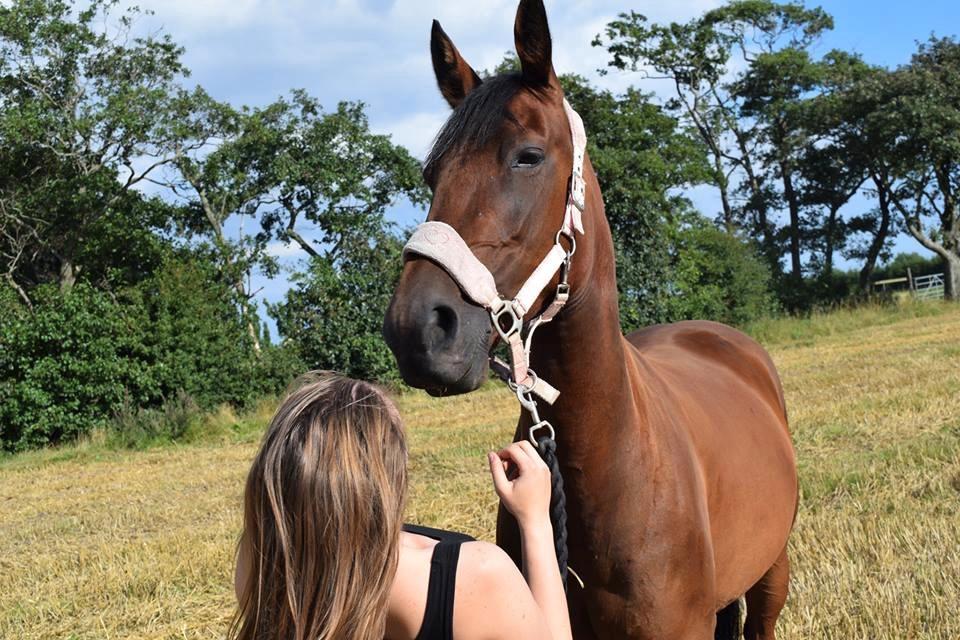 Traver Langesøs Fiona billede 1