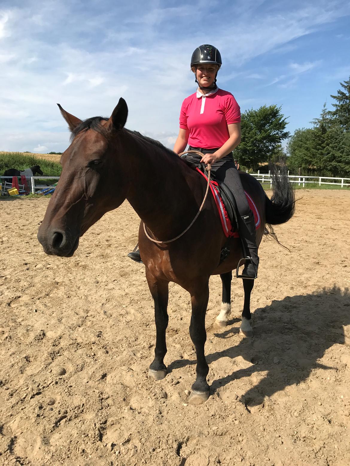 Oldenborg Dixie af Vidkær billede 9