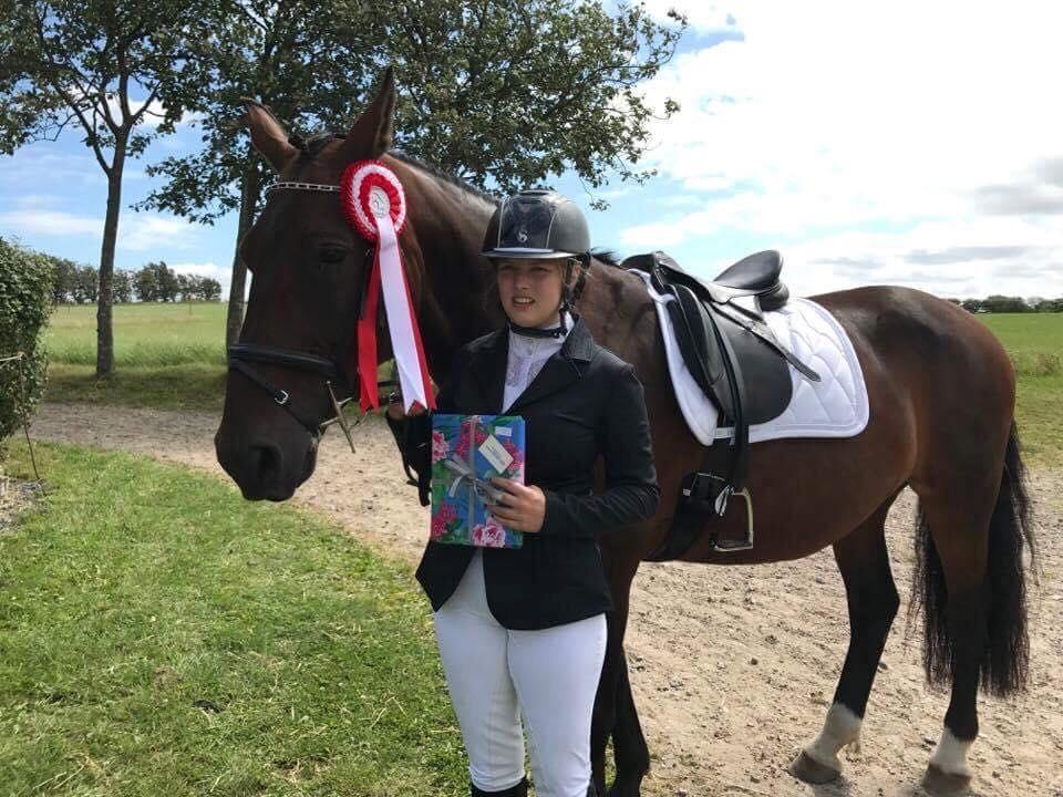 Oldenborg Dixie af Vidkær billede 15