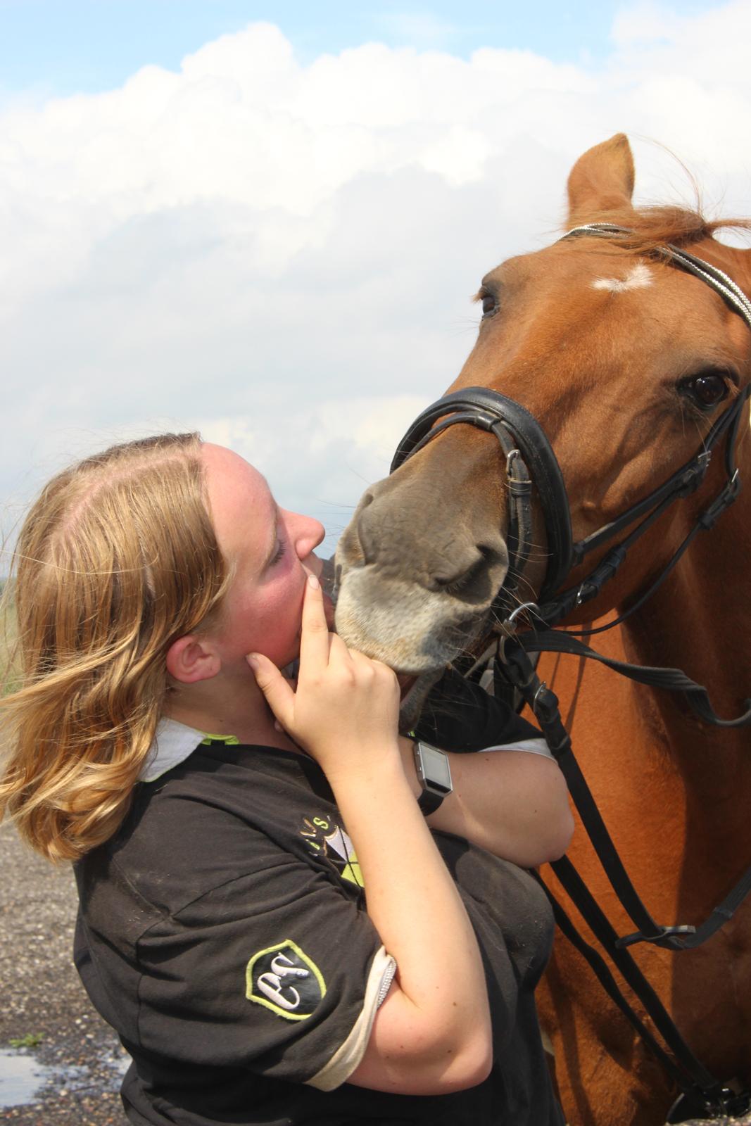 Anden særlig race Mulle - 30/07-17 Elskede hest billede 6