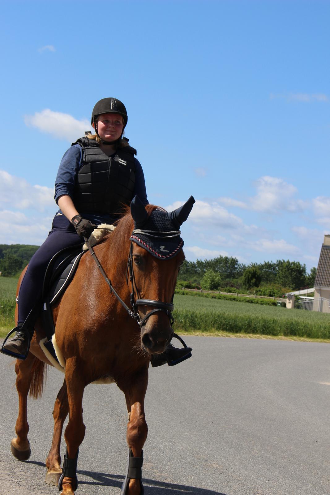 Anden særlig race Mulle - 18/06-17 - På vej mod nyt opstladningssted billede 2