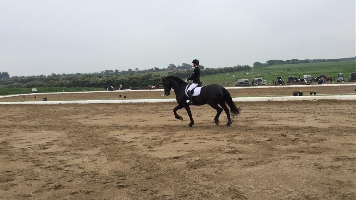 Frieser Jomme b. billede 6