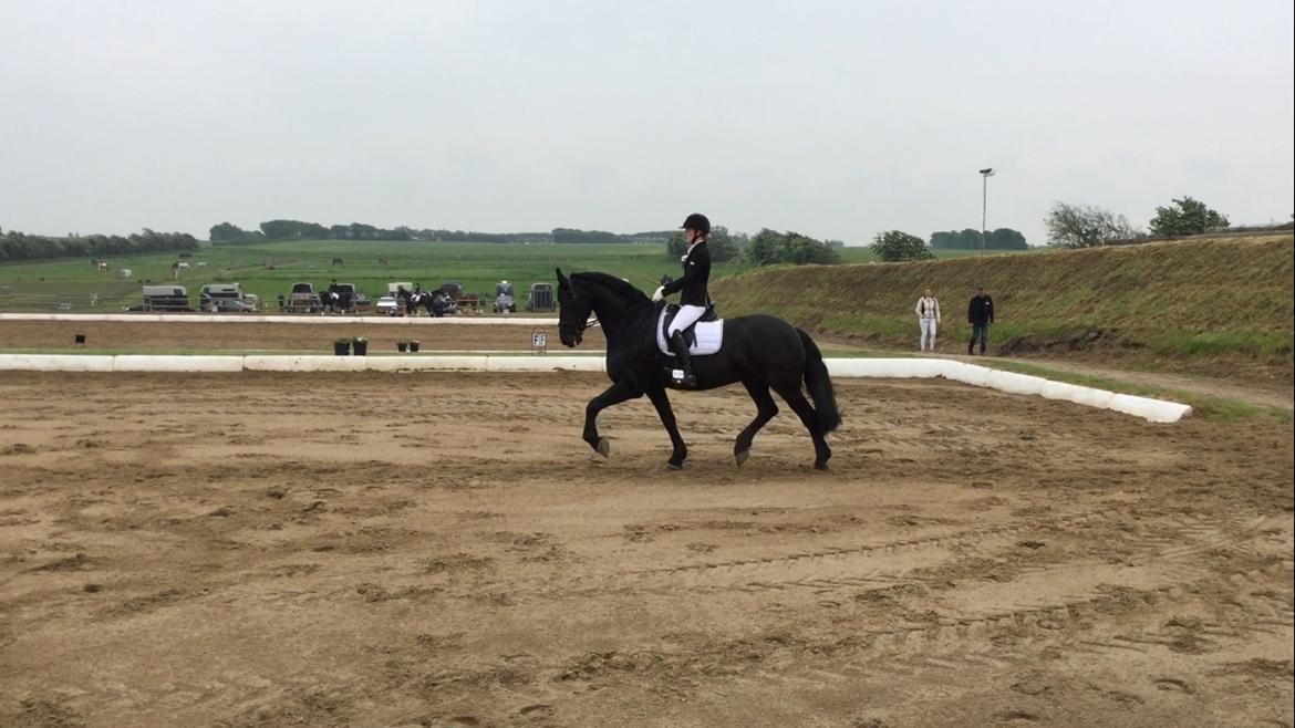 Frieser Jomme b. billede 3