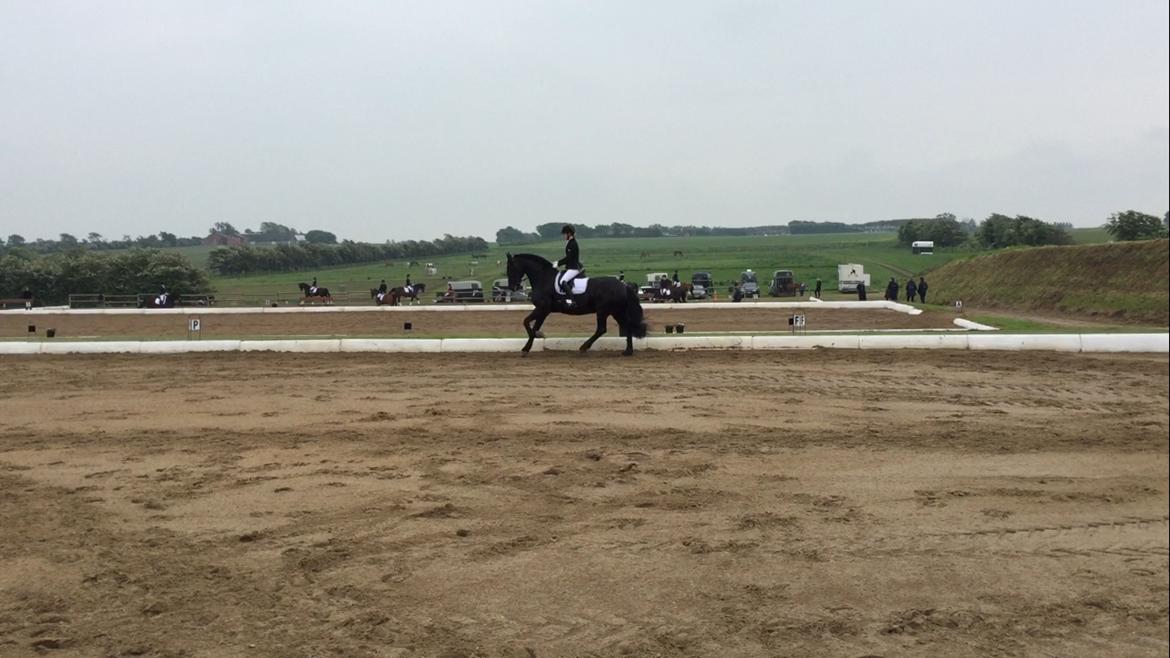 Frieser Jomme b. billede 7