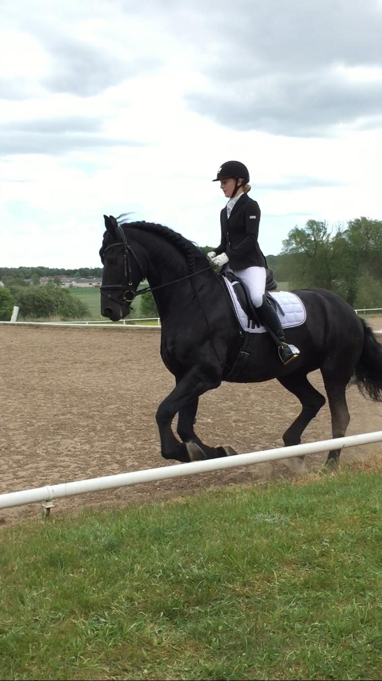 Frieser Jomme b. billede 17