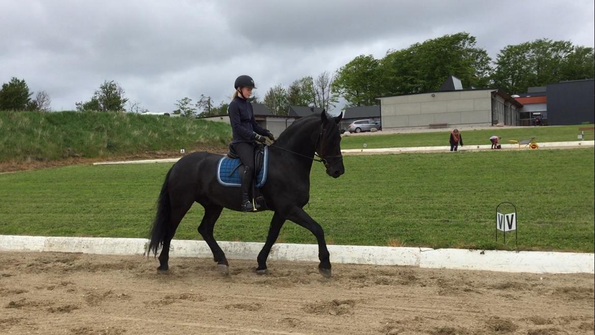 Frieser Jomme b. billede 12