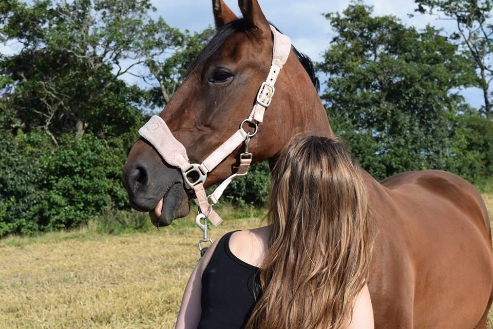 Traver Langesøs Fiona billede 20