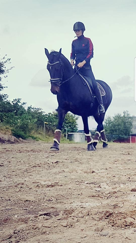 Anden særlig race DIBA VAD billede 30