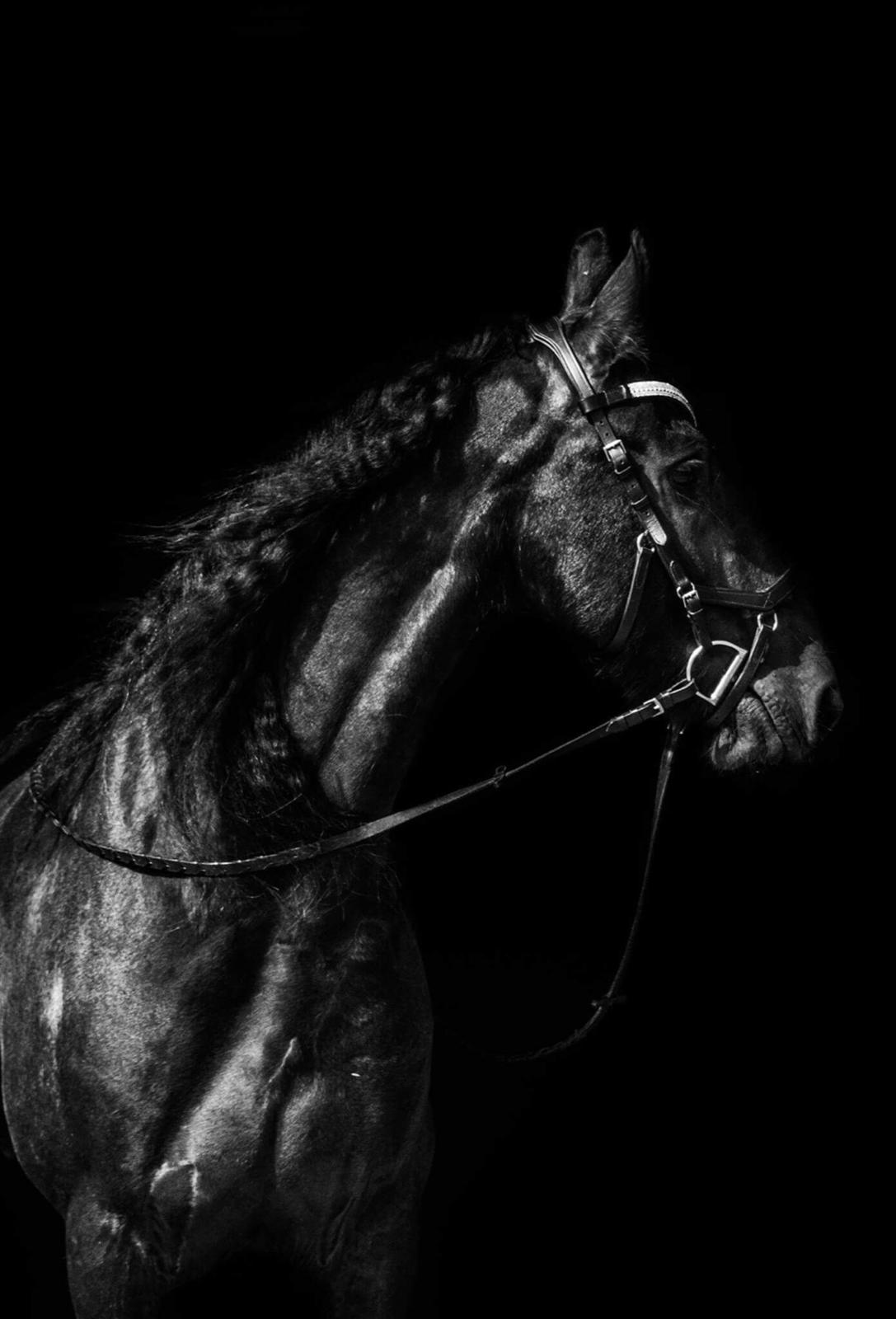 Frieser Barik billede 36