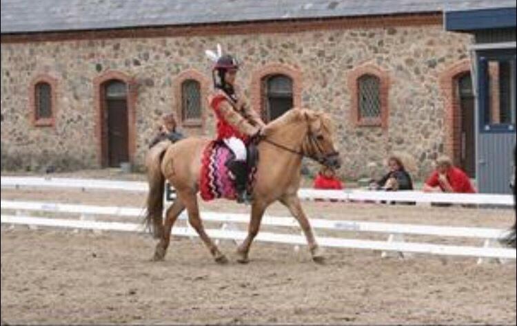 Anden særlig race Frederik billede 5
