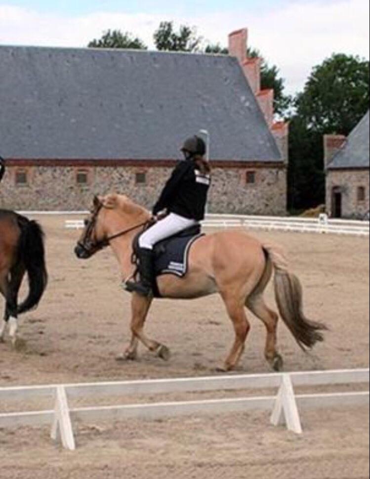 Anden særlig race Frederik billede 6