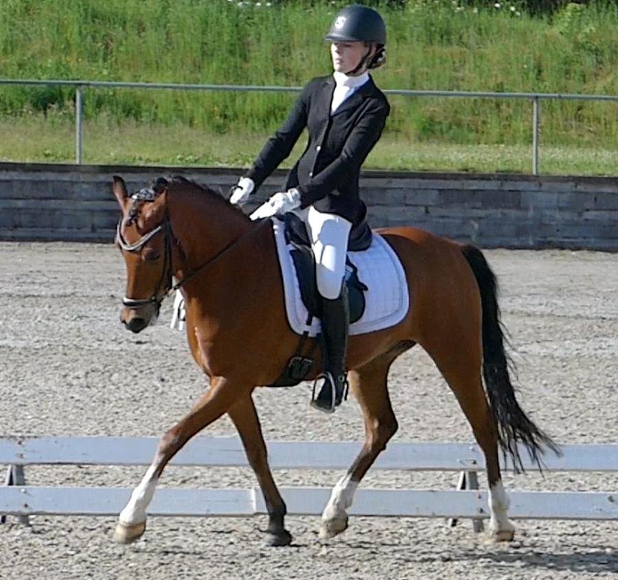 Anden særlig race Steven Seagal (Baby Drengen) billede 5