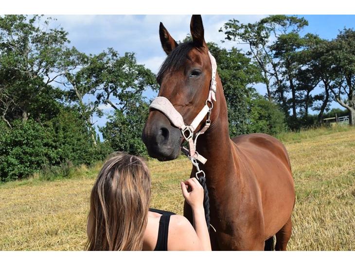 {{currentPhoto.altText}} billede {{currentPhoto.number}}