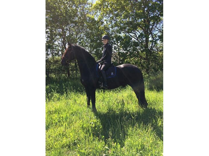 {{currentPhoto.altText}} billede {{currentPhoto.number}}