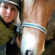 Anden særlig race Bonansa