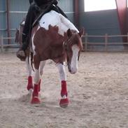 Paint Gamblers Palindrome